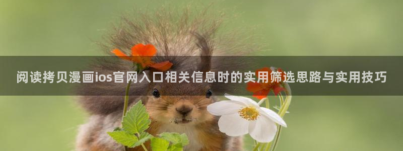 樱花日语视频课程