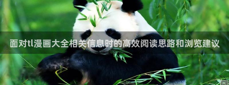 樱花日语入门教材:面对tl漫画大全相关信息时的高效阅读思路和浏览建议
