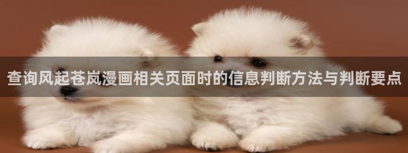 樱花日语N5学习:查询风起苍岚漫画相关页面时的信息判断方法与判断要点